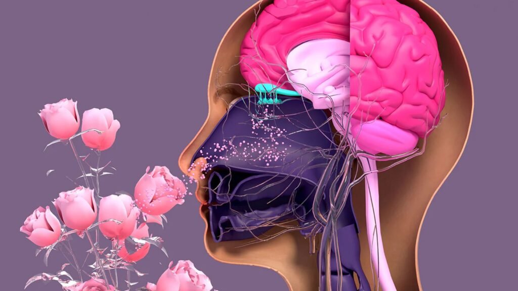 How to Regulate the Nervous System