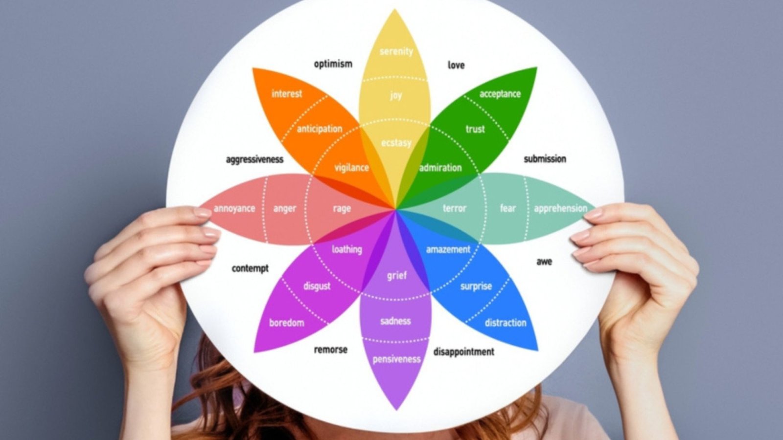 How to Understand Emotions