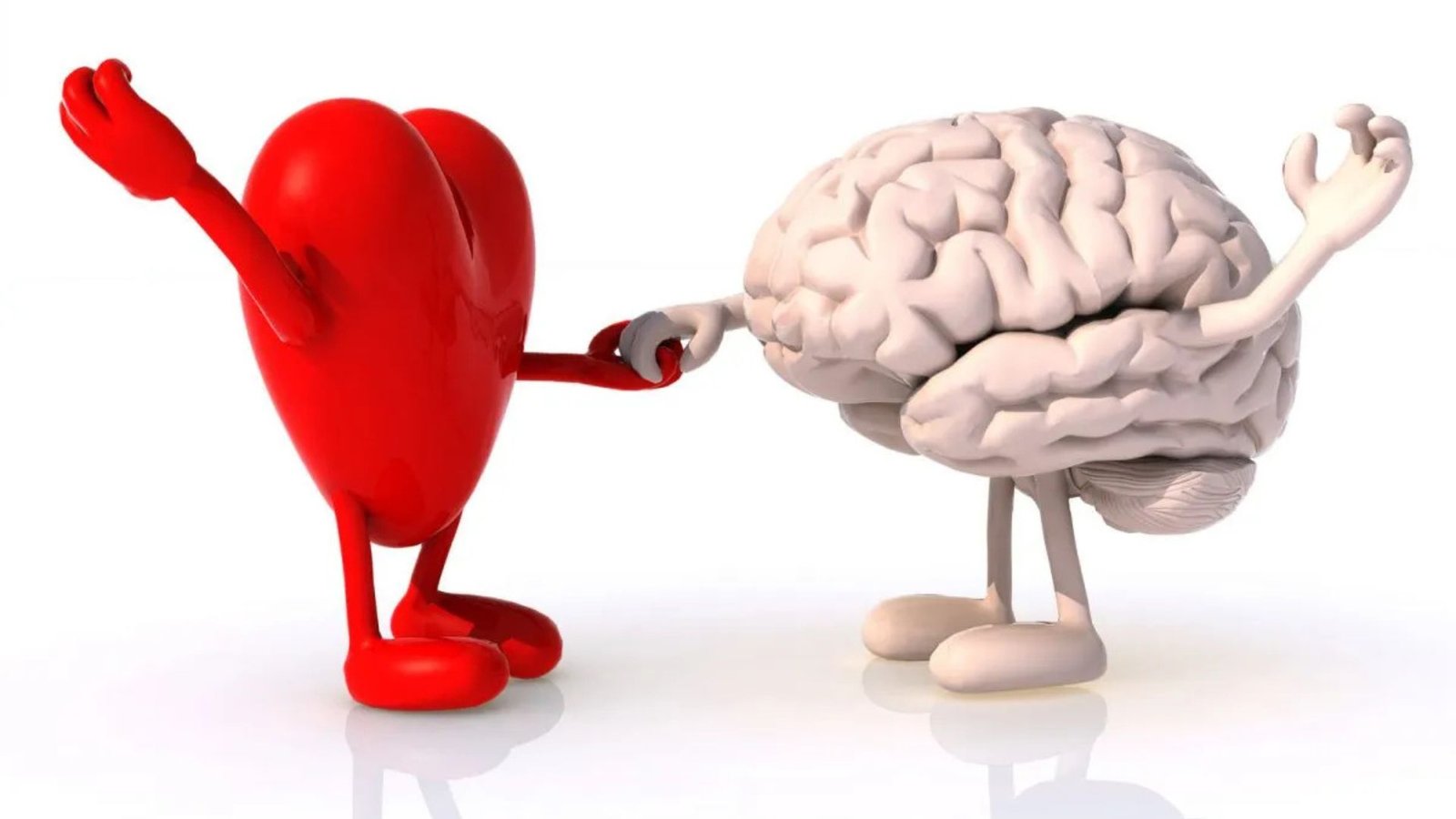 The Science of Affective Connection