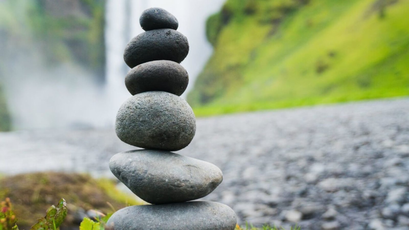 The Science of Balanced Living