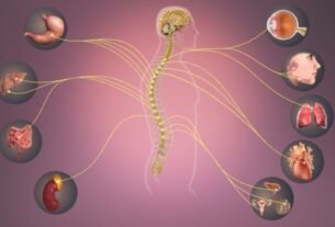 Understanding Nervous System Signals